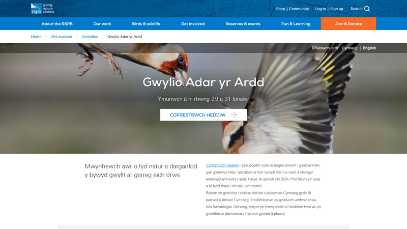 Fideo - Big Garden Birdwatch (Website)