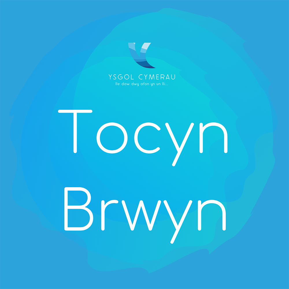 Dosbarth Tocyn Brwyn