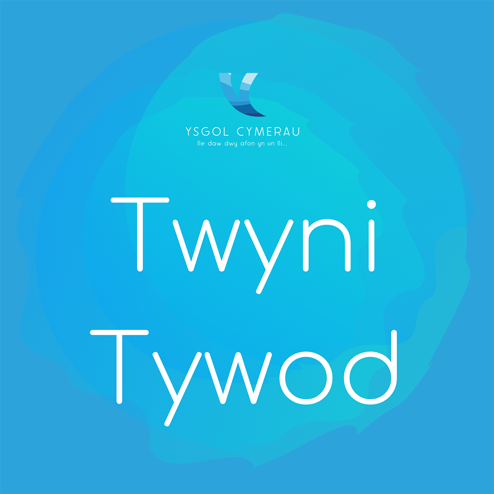 Dosbarth Twyni Tywod