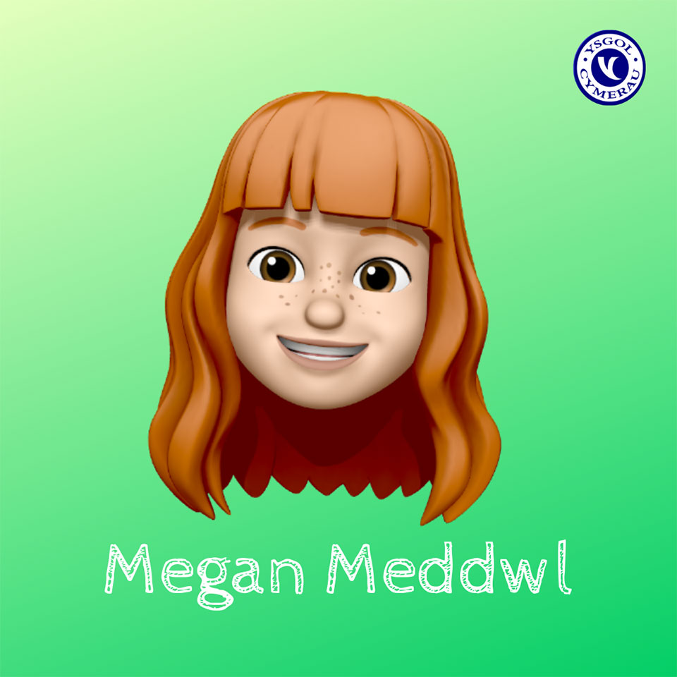 Megan Meddwl